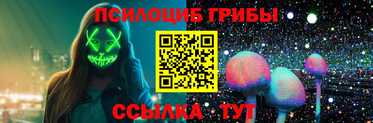 где продают наркотики  Галлюциногенные грибы Magic Shrooms  Галлюциногенные грибы Psilocybine cubensis  Вход с VPN  Борзя 