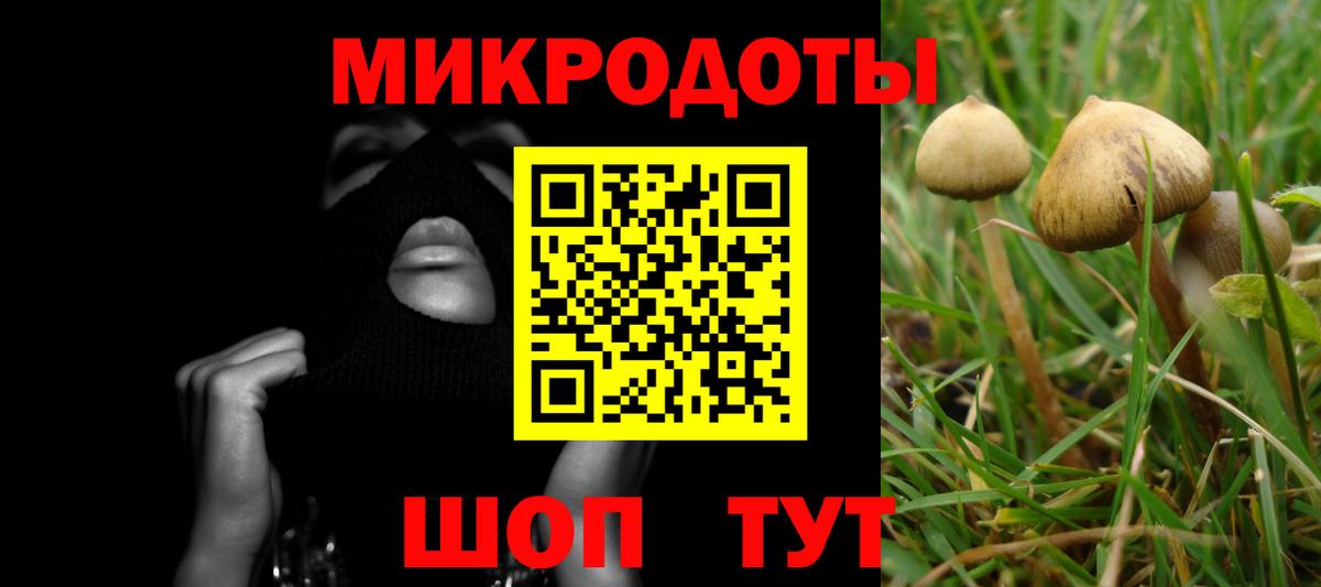 Галлюциногенные грибы мицелий Борзя
